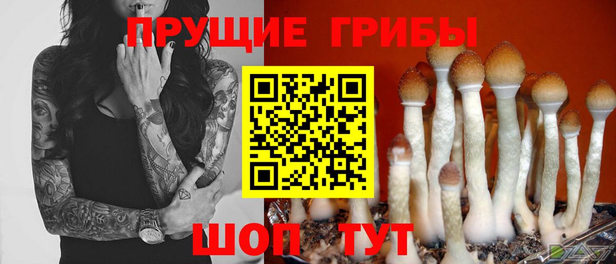 Псилоцибиновые грибы MAGIC MUSHROOMS Губкинский